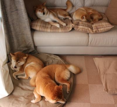 乐鱼电竞· (中国)官方网站-球员心理健康被忽视，球员心态