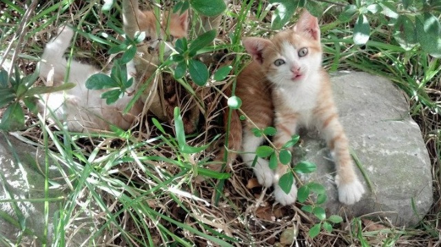 乐鱼官方登录入口-青年选手逐渐扛起国家队大旗，青年选手逐渐扛起国家队大旗图片