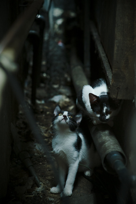 场边助教实时记录比赛数据用于赛后复盘与问题分析，考试场外助攻