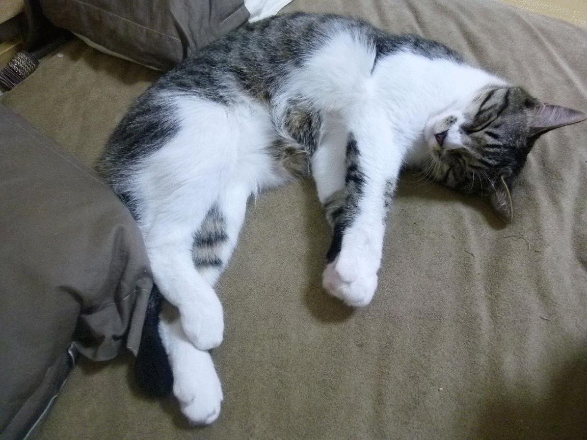 女篮青训强调低位脚步训练丰富内线进攻手段,女篮训练方法视频