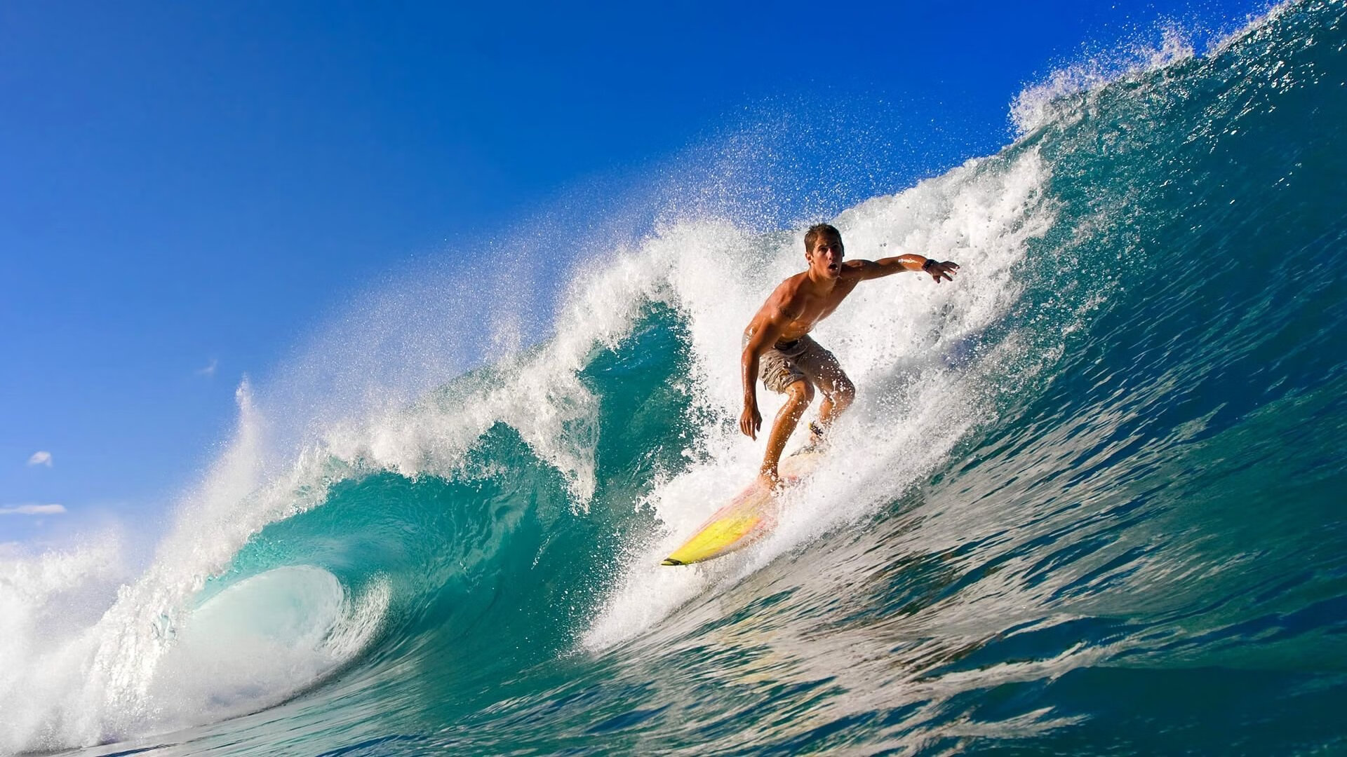 拳击比赛冠军归属悬念丛生,拳击手冠军