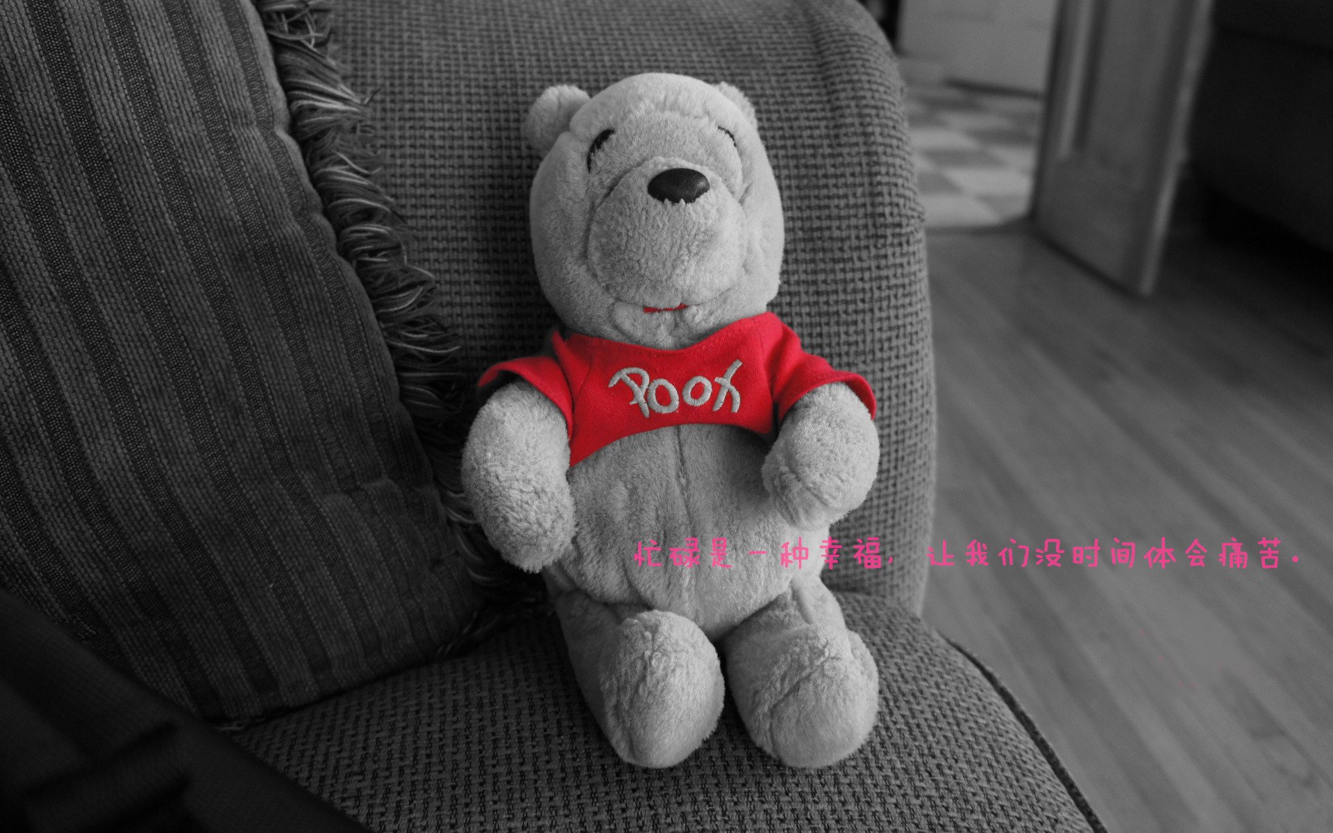 斯洛伐克女篮在欧洲预赛中持续表现,期待奥运入场券,斯洛伐克女篮国手