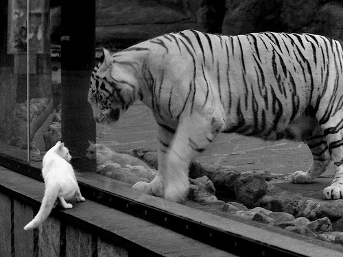 leyu乐鱼体育综合-极限运动护具科技材料更新提升安全性能，极限运动平台