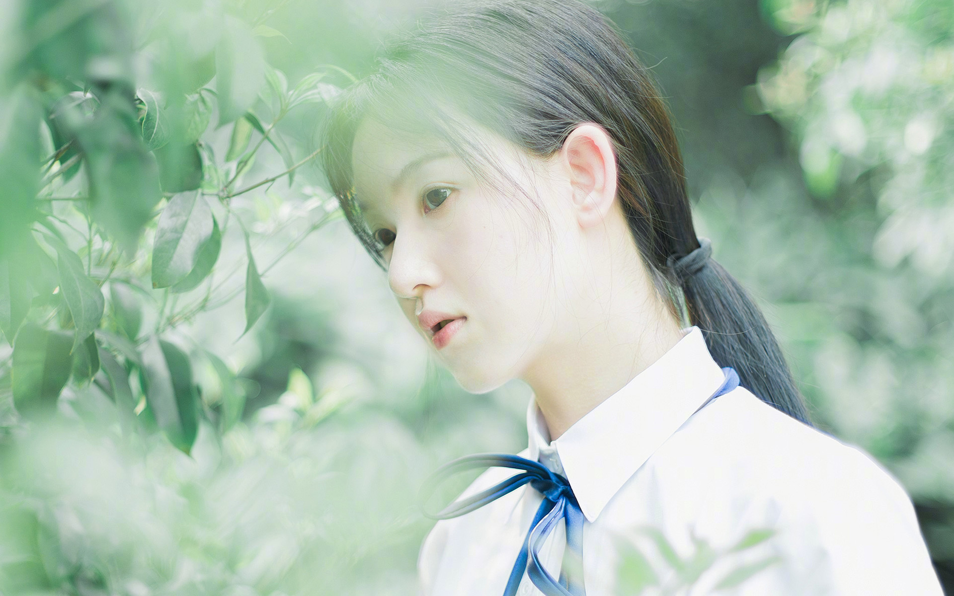 欧洲杯变阵奇迹:策划、调整中的精彩瞬间,欧洲杯阵出炉