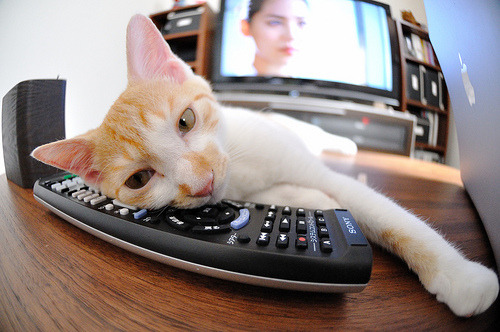 法国混合接力赛道表现亮眼,法国混双组合