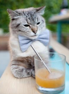 覃海洋蛙泳决赛再刷存在感，覃海洋游泳