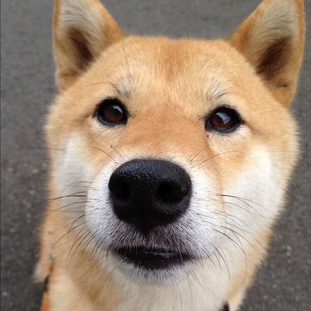 赛事官方公布月度最佳球员评选标准强化评审机制权威性，最佳球员排名