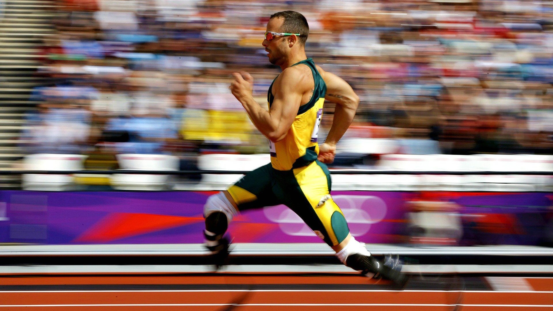 世界杯八强：摩洛哥1比0葡萄牙 历史性闯入四强全队高歌绕场